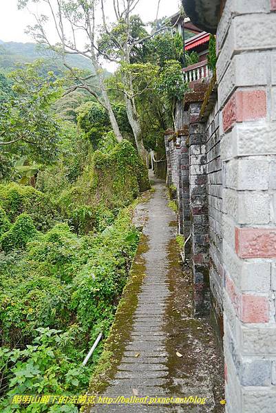 P1370812.jpg P1370812.jpg