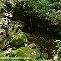 P1380335.jpg