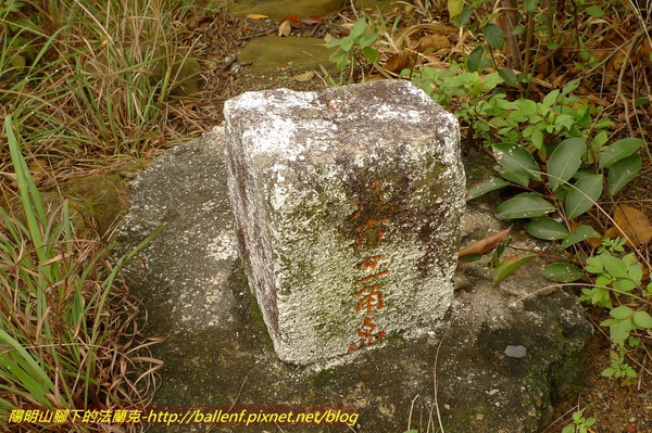 P1410083-2.jpg