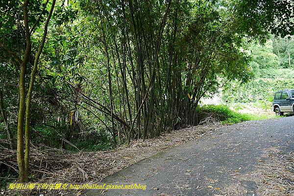 P1400739.jpg P1400739.jpg