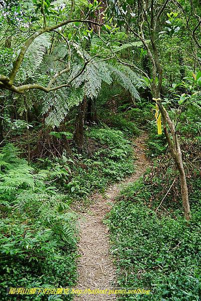 P1400742.jpg P1400742.jpg