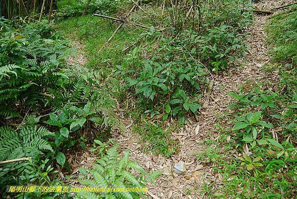 P1400744.jpg P1400744.jpg