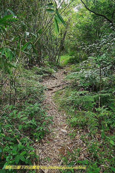 P1400745.jpg P1400745.jpg