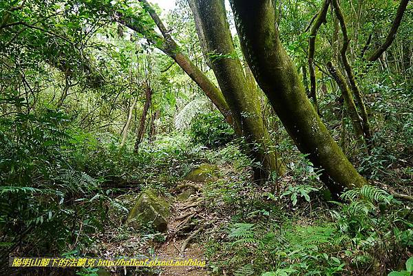 P1400747.jpg P1400747.jpg