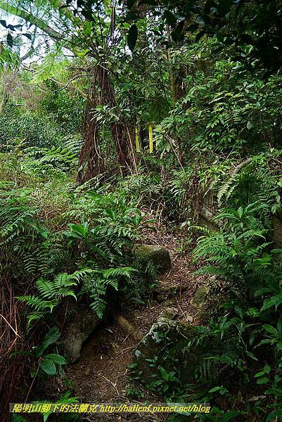 P1400749.jpg P1400749.jpg