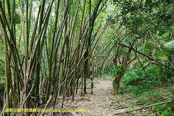 P1400750.jpg P1400750.jpg