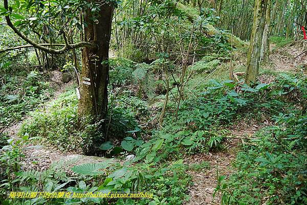 P1400751.jpg P1400751.jpg