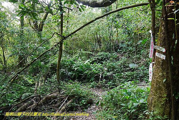 P1400754.jpg P1400754.jpg