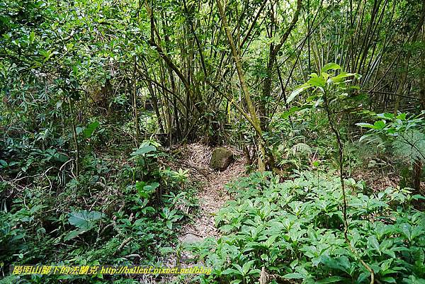 P1400757.jpg P1400757.jpg