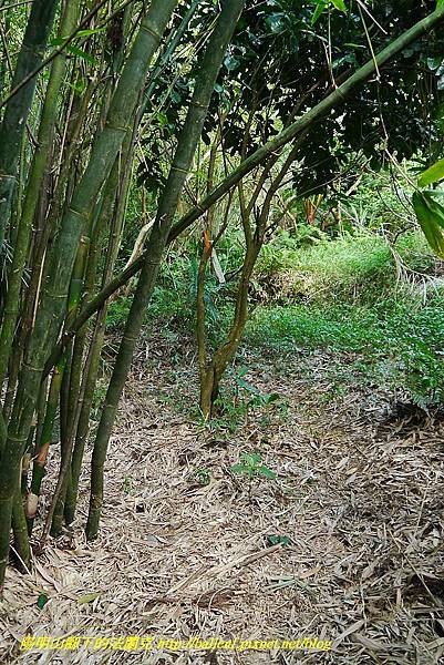 P1400760.jpg P1400760.jpg