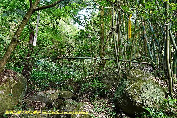 P1400763.jpg P1400763.jpg