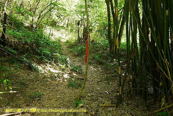 P1400766.jpg P1400766.jpg