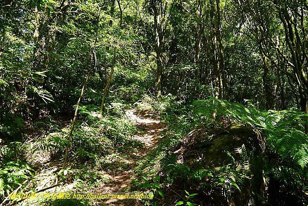 P1400769.jpg P1400769.jpg