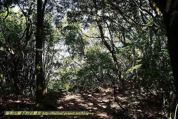 P1400770.jpg P1400770.jpg