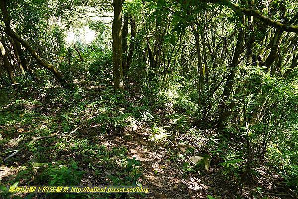 P1400774.jpg P1400774.jpg