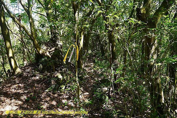 P1400773.jpg P1400773.jpg