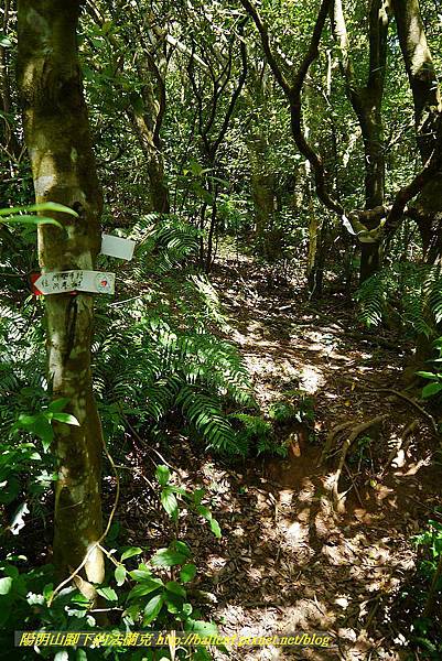 P1400775.jpg P1400775.jpg