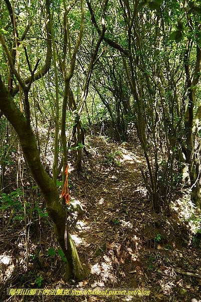 P1400776.jpg P1400776.jpg