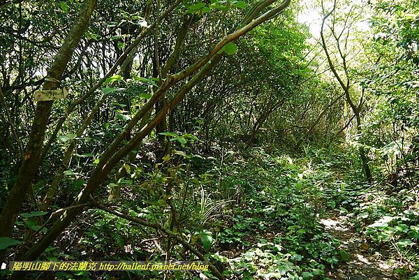 P1400778.jpg P1400778.jpg