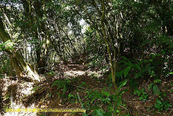 P1400781.jpg P1400781.jpg