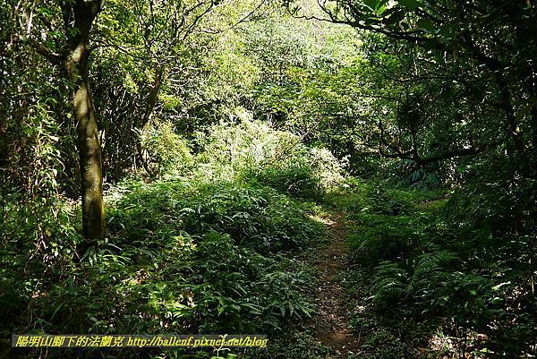 P1400782.jpg P1400782.jpg