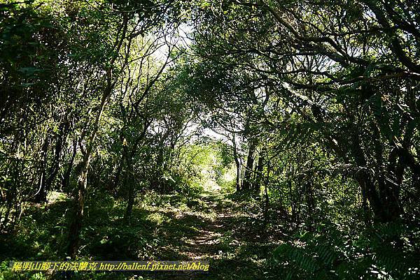 P1400783.jpg P1400783.jpg