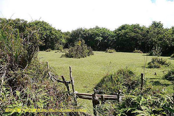 P1400785.jpg P1400785.jpg