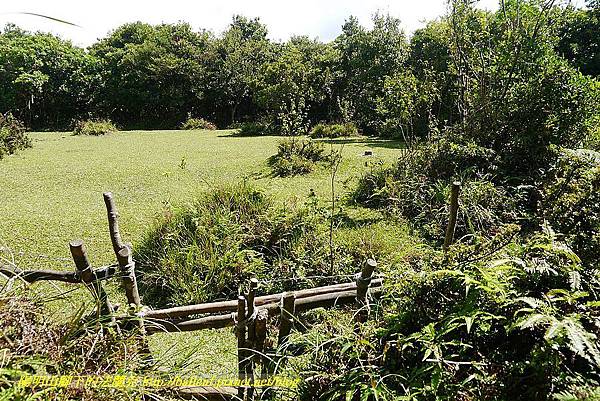 P1400786.jpg P1400786.jpg