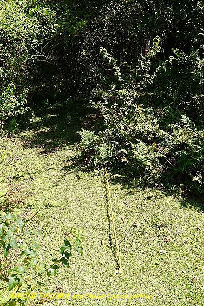 P1400791.jpg P1400791.jpg