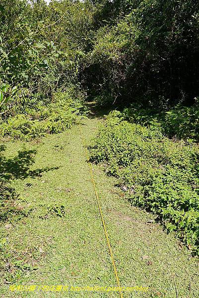 P1400793.jpg P1400793.jpg