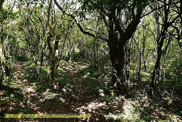 P1400795.jpg P1400795.jpg