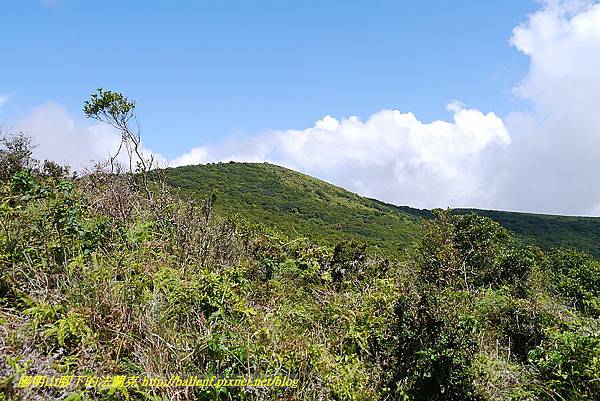 P1400799.jpg P1400799.jpg