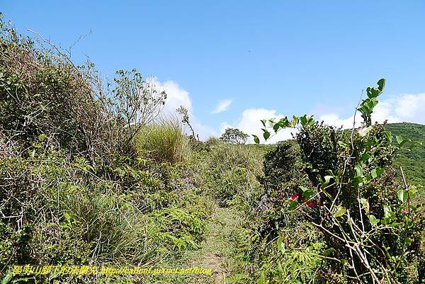 P1400802.jpg P1400802.jpg