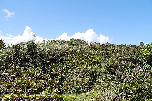 P1400806.jpg P1400806.jpg