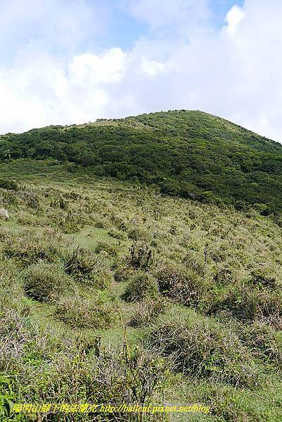 P1400809.jpg P1400809.jpg