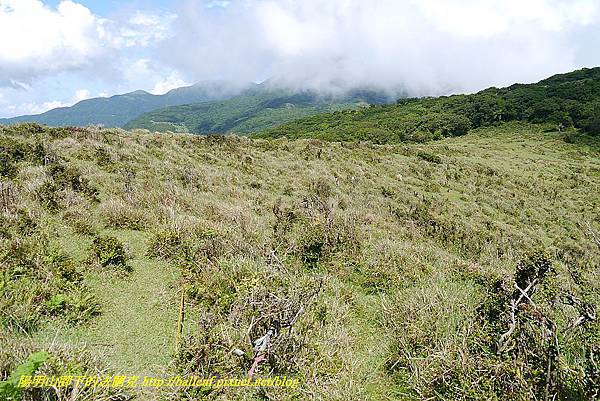 P1400808.jpg P1400808.jpg