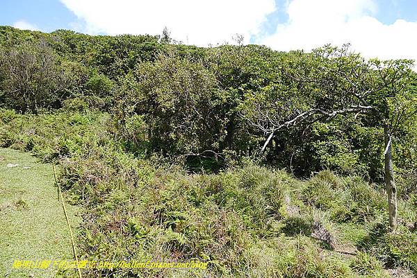 P1400820.jpg P1400820.jpg