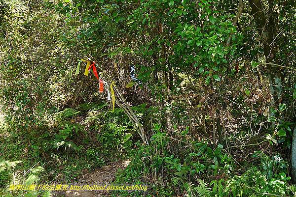 P1400822.jpg P1400822.jpg