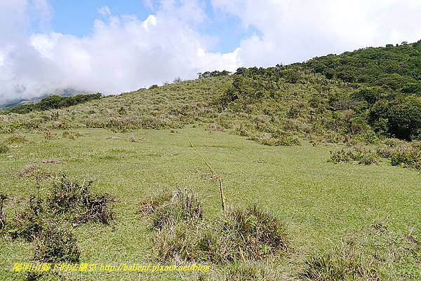 P1400823.jpg P1400823.jpg