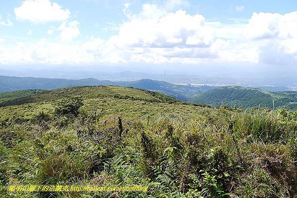 P1400828.jpg P1400828.jpg