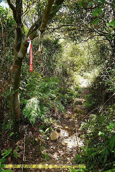 P1400829.jpg P1400829.jpg