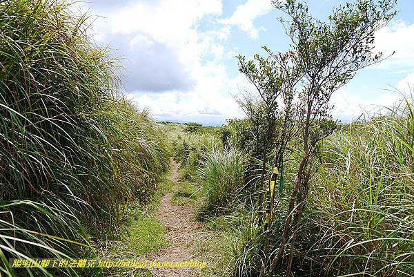 P1400850.jpg P1400850.jpg