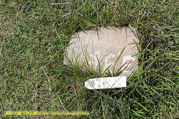 P1400849.jpg P1400849.jpg