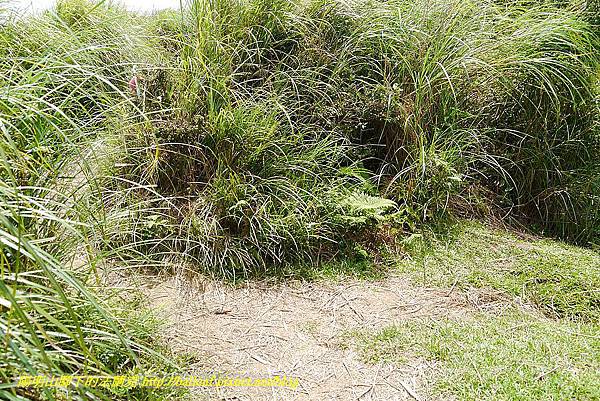 P1400851.jpg P1400851.jpg