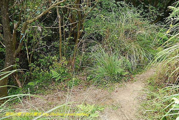 P1400852.jpg P1400852.jpg