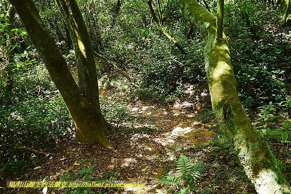 P1400854.jpg P1400854.jpg