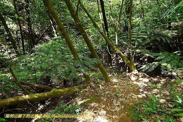 P1400855.jpg P1400855.jpg