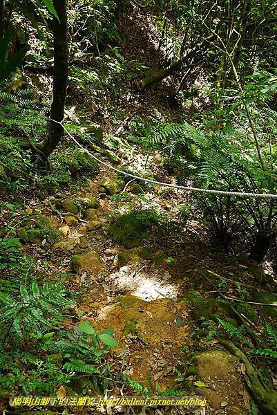 P1400857.jpg P1400857.jpg