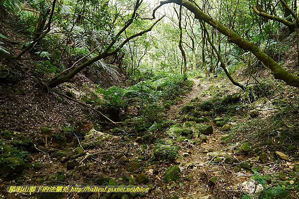 P1400859.jpg P1400859.jpg