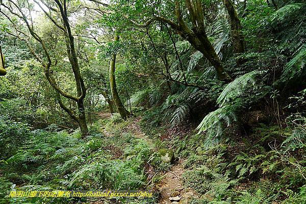 P1400860.jpg P1400860.jpg